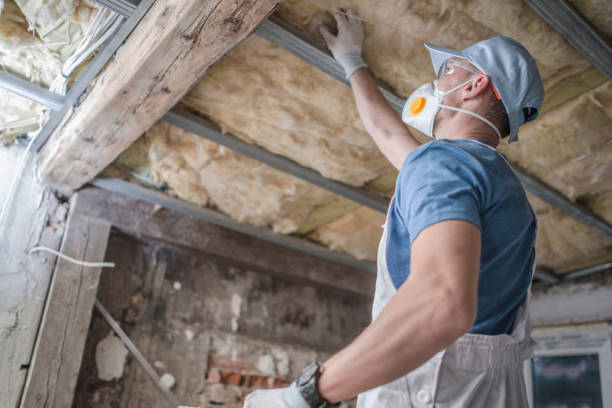 Best Insulation Inspection Services  in Seabrook, TX