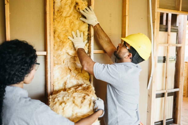 Best Home Insulation Services  in Seabrook, TX
