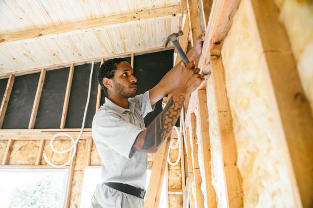 Best Local Insulation Services  in Seabrook, TX