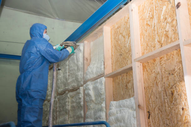 Best Insulation Removal Services  in Seabrook, TX